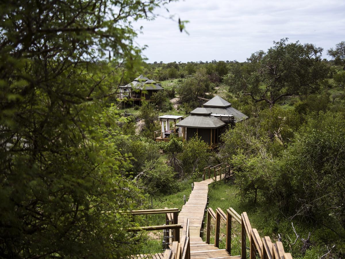 Simbavati Hilltop Lodge Timbavati Game Reserve Exterior photo